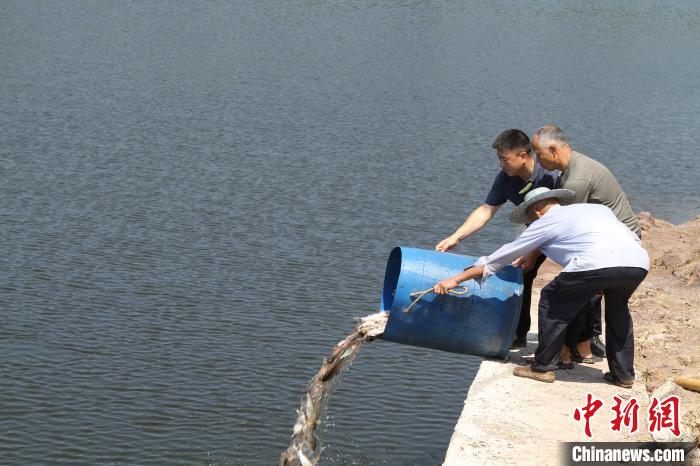 二十万尾鱼苗被放入长江重庆段用于生态补偿和修复