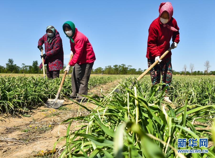 改变中国命运的伟大决战——以习近平同志为核心的党中央引领亿万人民打赢脱贫攻坚战纪实