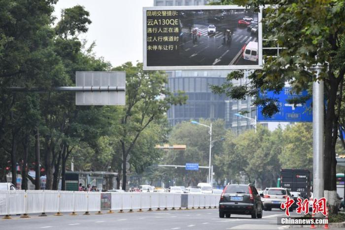 资料图：昆明街头的电子屏曝光不礼让斑马线车辆。<a target=&apos;_blank&apos; href=&apos;http://www.chinanews.com/&apos;><p align=