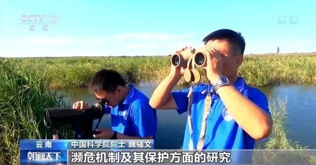 中国科学院：中国在生物多样性研究多个领域世界领跑