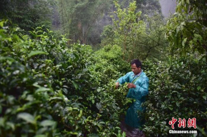 这样一个国际性会议，为何选择了彩云之南？