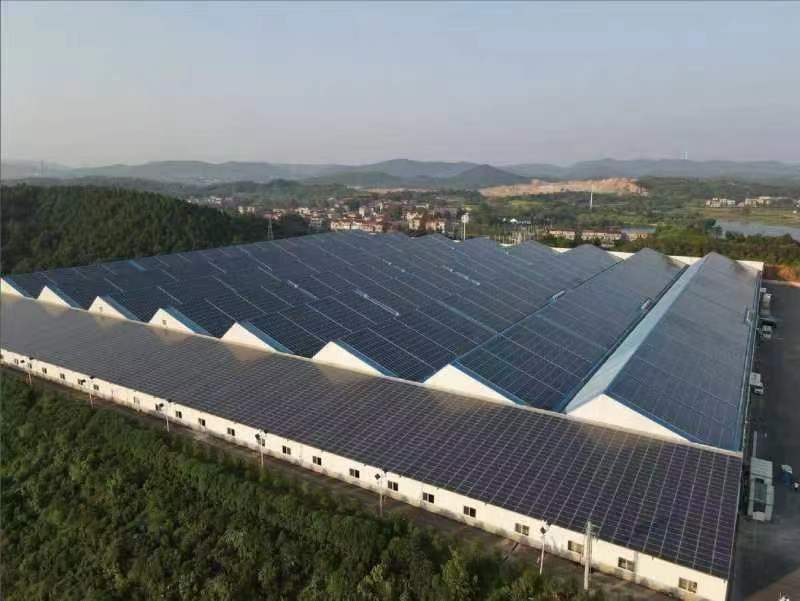 运鸿集团:助力绿色经济 共创低碳社会