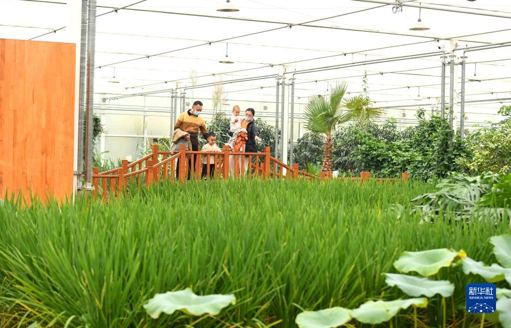 走进县城看发展|河北正定:古今交融气象新