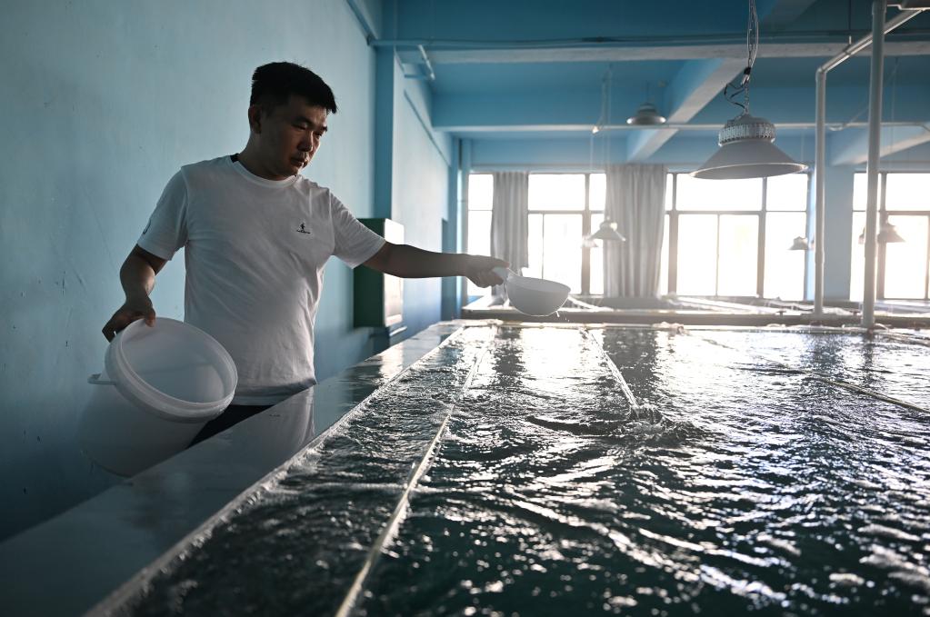 海南文昌创新推动海水养殖综合整治