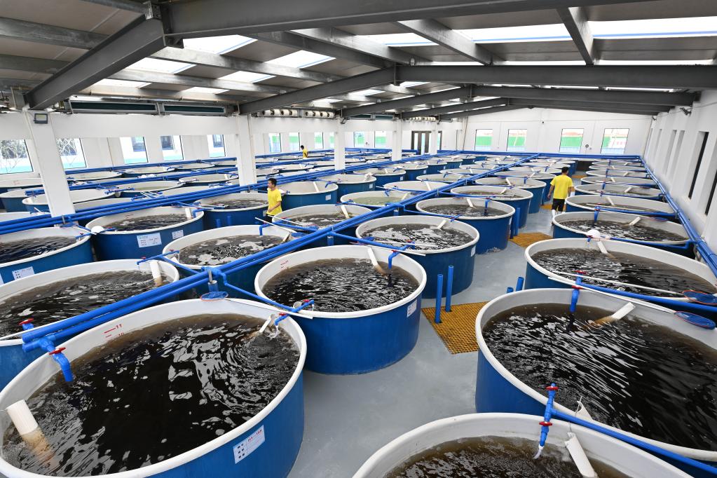 海南文昌创新推动海水养殖综合整治