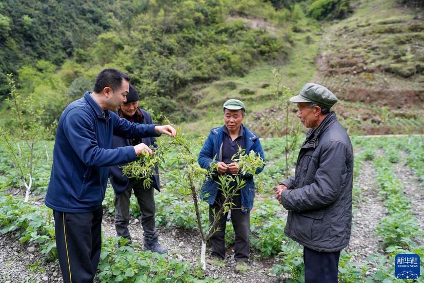 聚人才之力 筑复兴之基——新时代人才事业发展成就综述