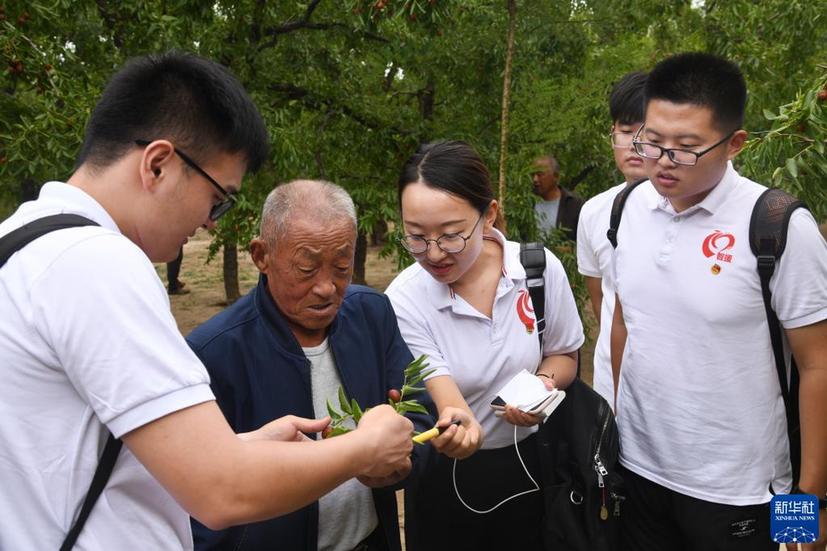 聚人才之力 筑复兴之基——新时代人才事业发展成就综述