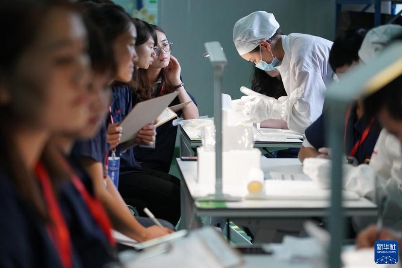 聚人才之力 筑复兴之基——新时代人才事业发展成就综述