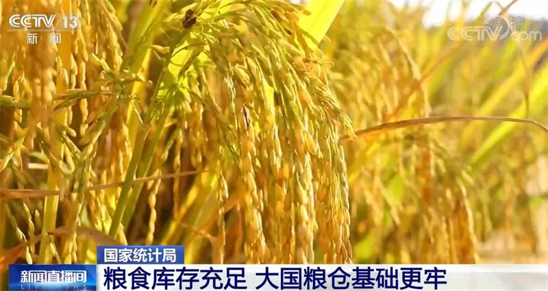 国家统计局：粮食安全水平提高 中国饭碗端得更稳
