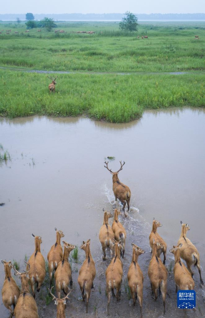 喜迎二十大丨湖北:奏响新时代长江之歌
