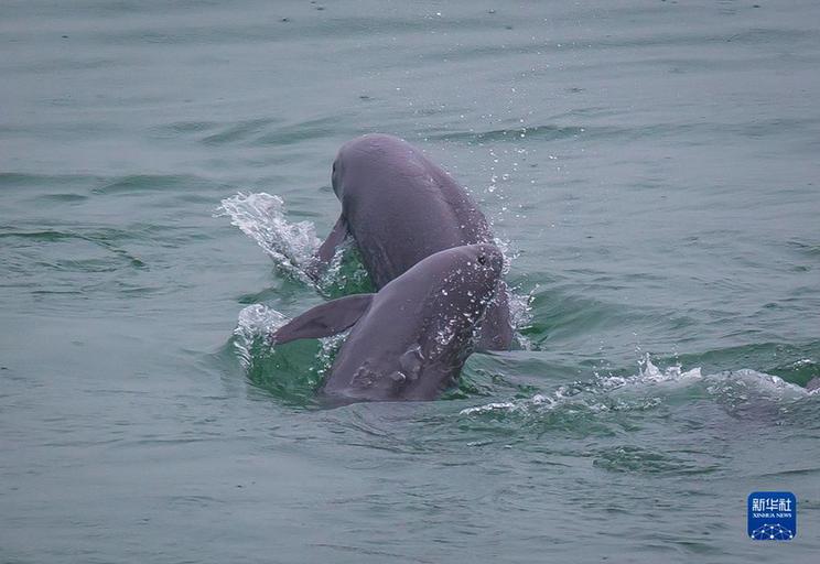 喜迎二十大丨湖北:奏响新时代长江之歌