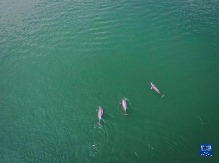 喜迎二十大丨湖北:奏响新时代长江之歌